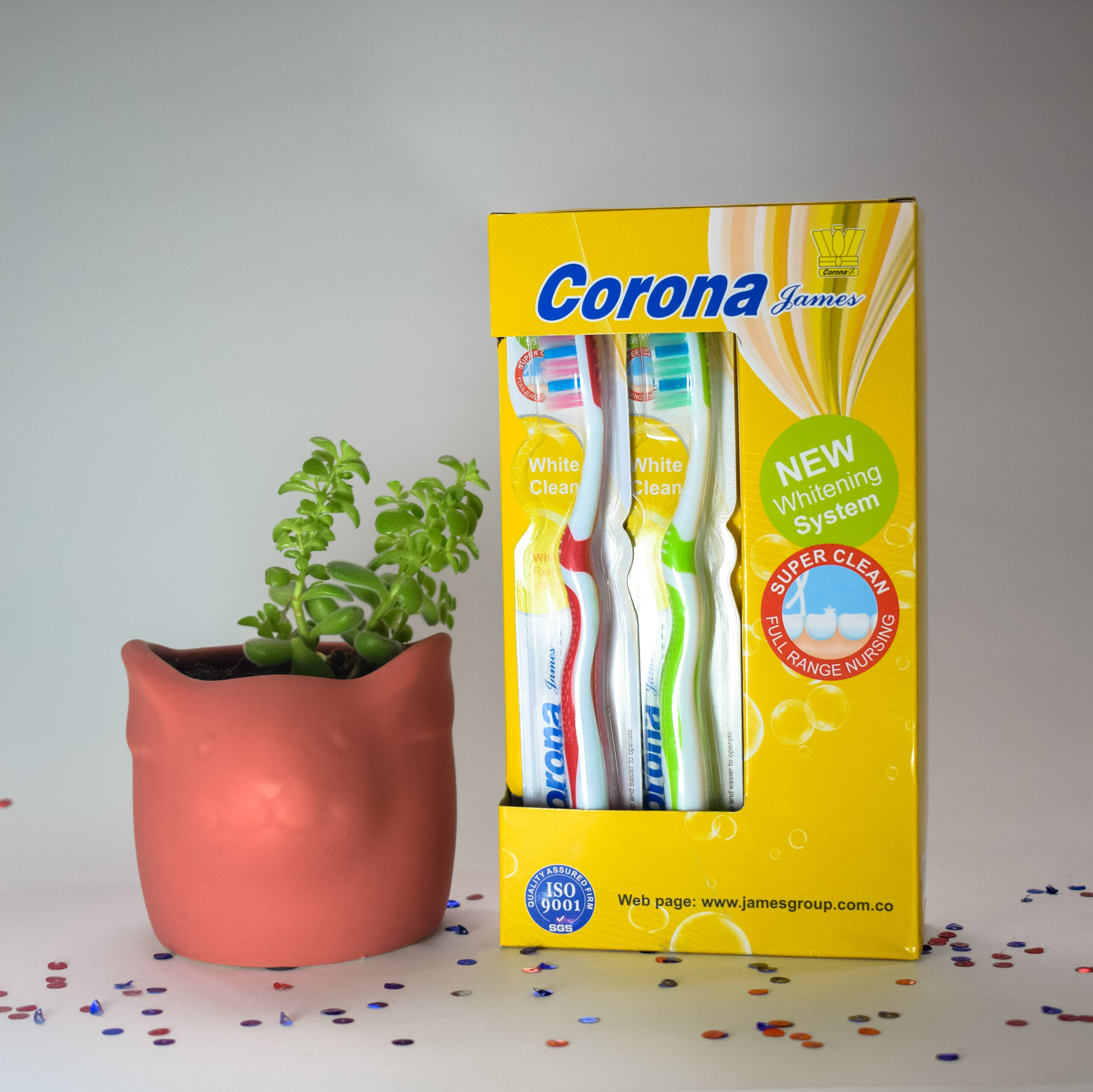 Cepillo Corona FA-M5